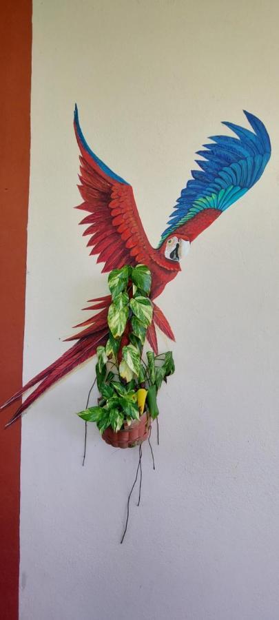 Hotel Sandpiper Jaco Bagian luar foto