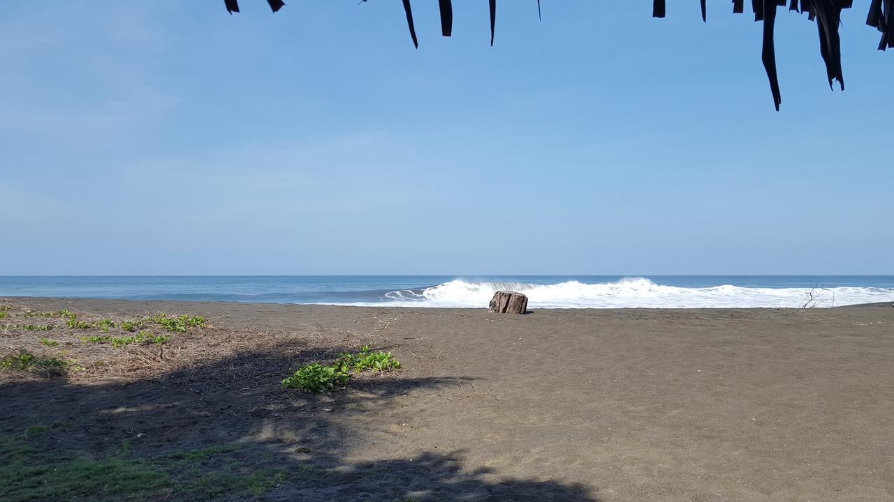 Hotel Sandpiper Jaco Bagian luar foto